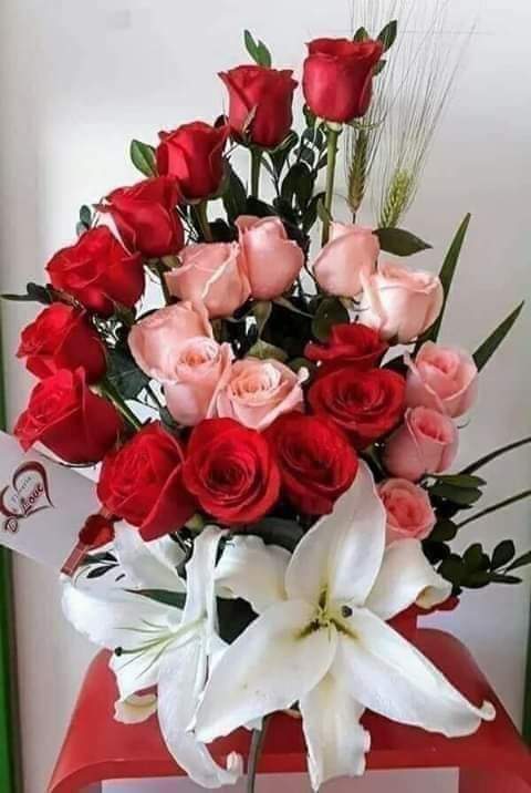 09:37:34 GMT-0600 (CST)