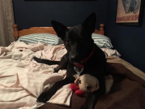 10:06:06 GMT-0600 (CST).image