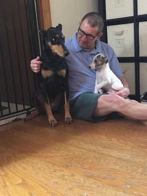 26994043_10215552830236640_2289206511362043880_n