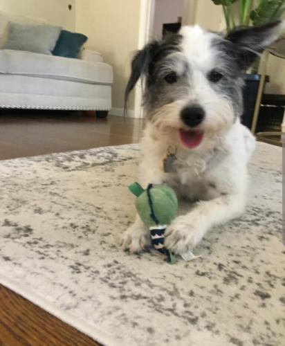 10:22:47 GMT-0800 (PST)