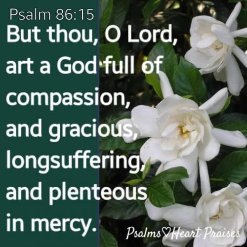 11:16:36 GMT-0600 (CST)