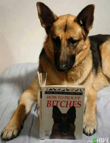 12:08:51 GMT-0600 (CST)