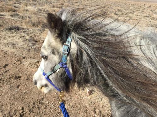 16:17:57 GMT-0800 (PST).image