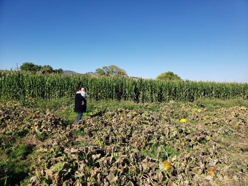 mitened2bc9db1-46ee-40ab-bb70-dc522c3831c3