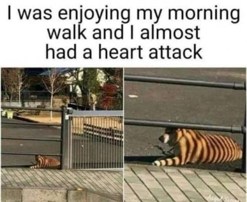 12:57:54 GMT-0500 (EST)