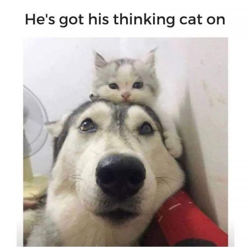 09:05:01 GMT-0500 (EST)