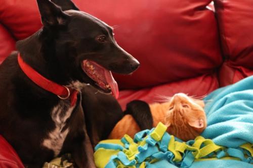 10:02:37 GMT-0600 (CST).image