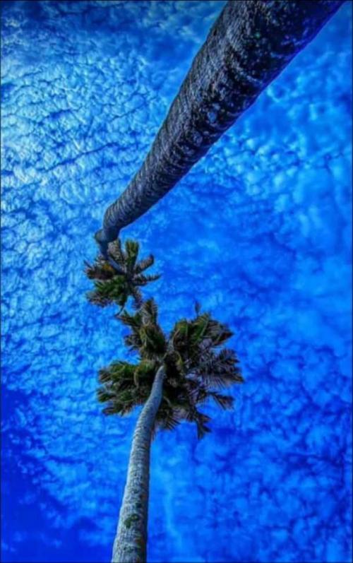 02:23:56 GMT+0100 (WAT).png