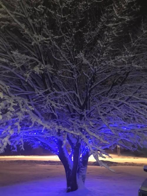 15:20:22 GMT-0500 (EST).image