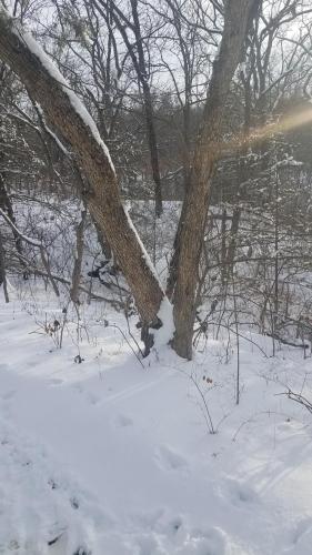 17:50:36 GMT-0600 (CST)