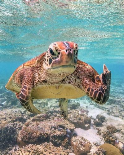 139051997_1775396862626518_5369223582129376679_o