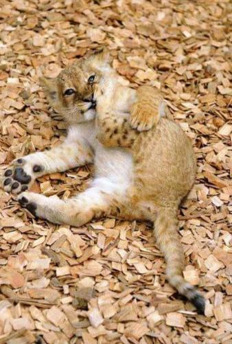 21:32:38 GMT-0600 (CST)