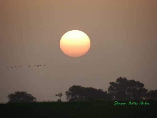 Sunset in Crawford Tx 2014