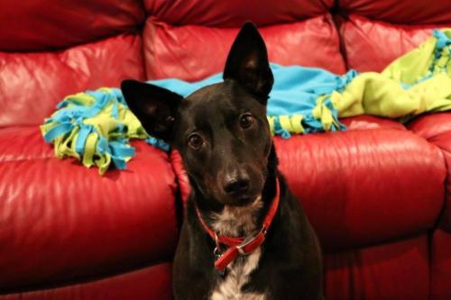 10:20:55 GMT-0600 (CST).image