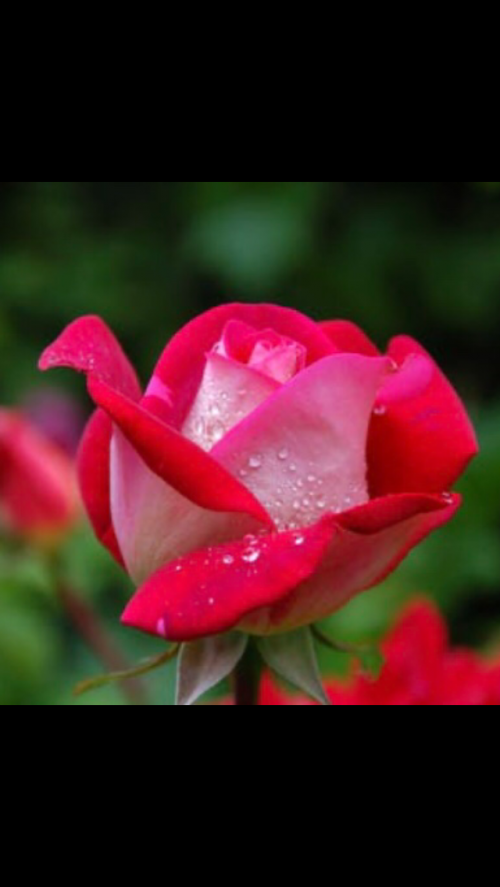 21:50:48 GMT-0500 (EST).image