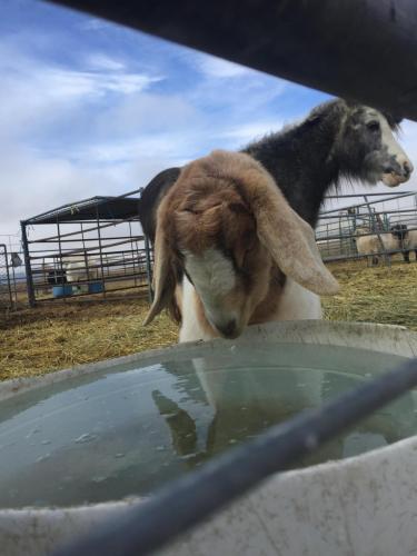 17:28:55 GMT-0800 (PST).image