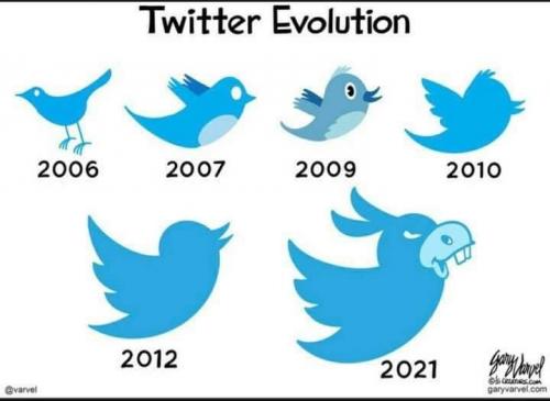 138457723_3872504142816098_4330354484002659406_n