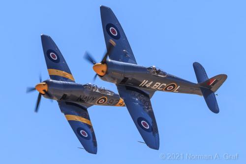 145302381_240159801012908_8900003460747428217_o