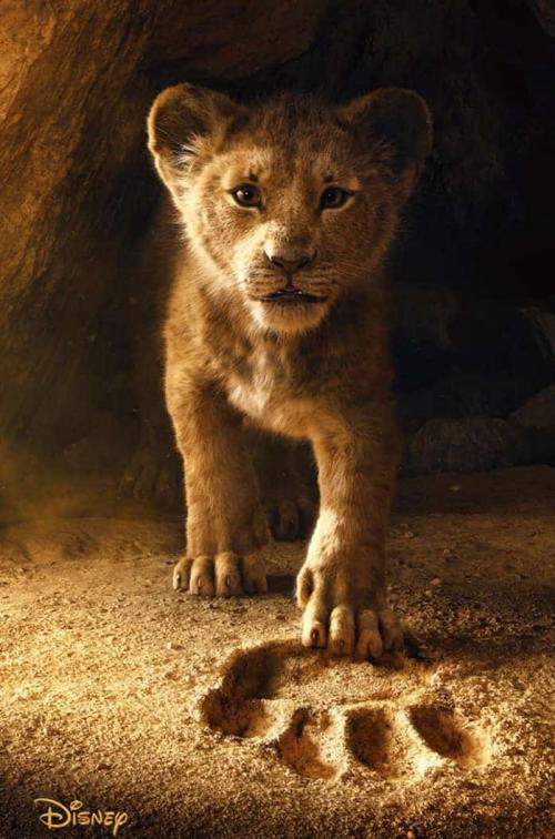 08:56:23 GMT+0100 (WAT)