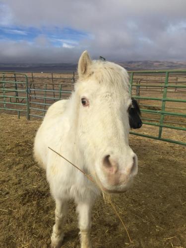 21:09:42 GMT-0800 (PST).image