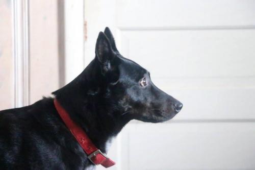 10:07:24 GMT-0600 (CST).image