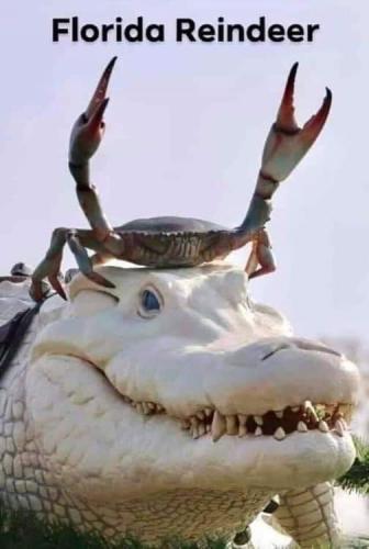 18:08:25 GMT-0500 (EST)