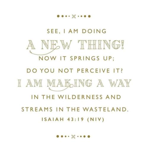 08:53:06 GMT-0700 (MST)