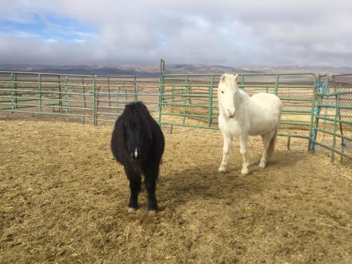 21:09:42 GMT-0800 (PST).image