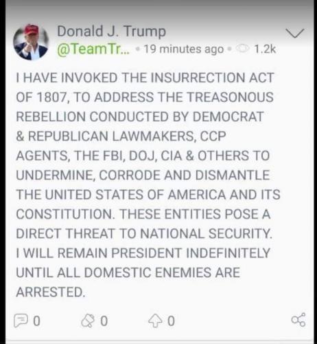 insurrection act00