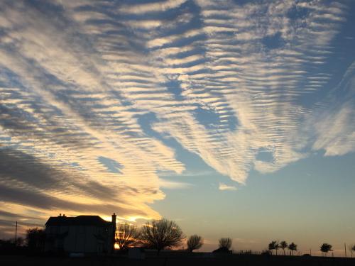 10:03:56 GMT-0600 (CST).image