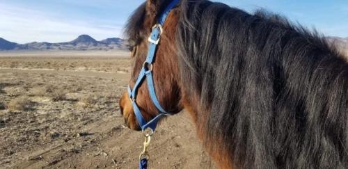 07:56:24 GMT-0800 (PST).image