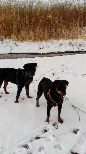 17:14:15 GMT-0700 (MST)