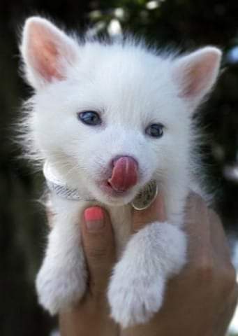 04:33:17 GMT-0600 (CST)