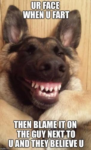 09:11:08 GMT-0700 (MST).image