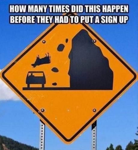 cow falling
