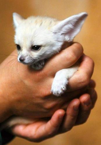 16:48:20 GMT-0600 (CST)