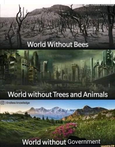 19:02:29 GMT-0600 (CST)