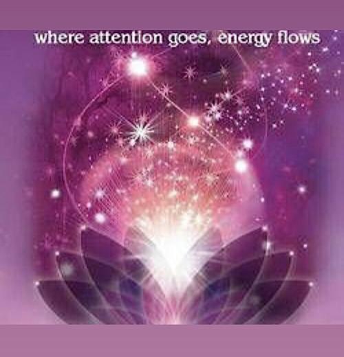 EB53CA11-A7E6-4A0C-BD05-16E4D099CC03