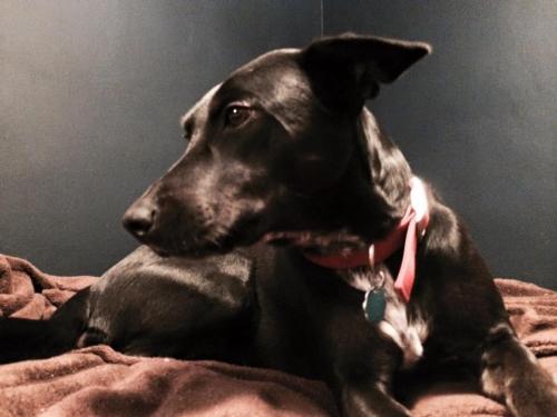 10:20:55 GMT-0600 (CST).image