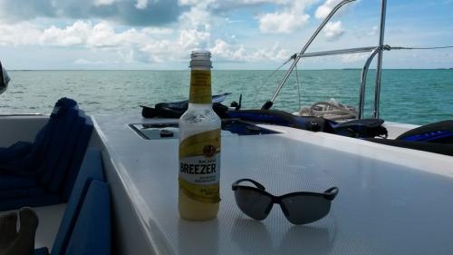 11889686_10204555163990213_5949340083700771234_n