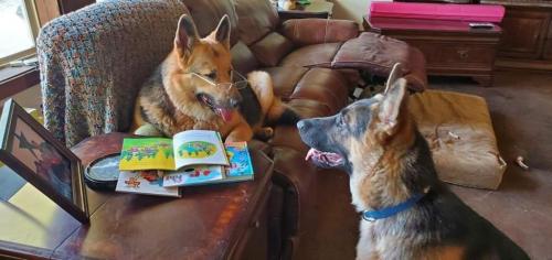 13:06:44 GMT-0600 (CST)