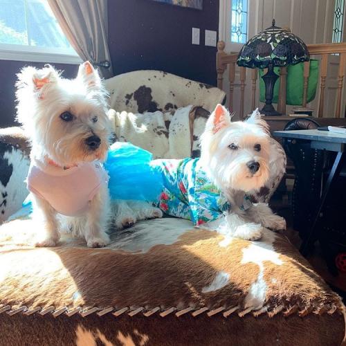 13:49:59 GMT-0600 (CST).image