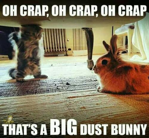 18157305_411772682537829_506334653651370009_n