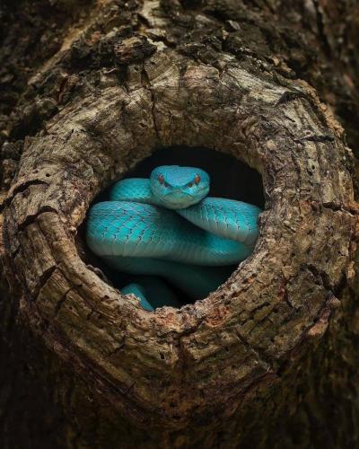 144668164_1787459898086881_4761636382407973666_o