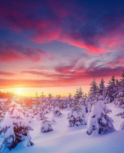 144048791_1786627831503421_9188420033849637633_n