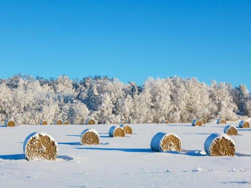 haybales