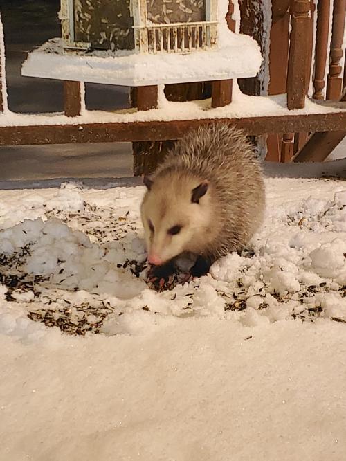 01:45:05 GMT-0500 (EST)