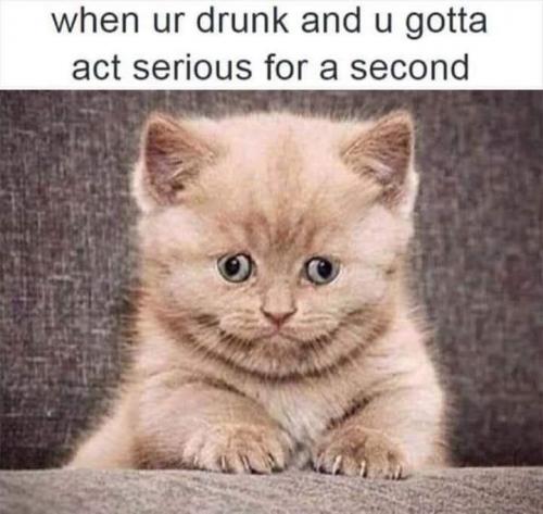 01:07:31 GMT-0800 (PST).image