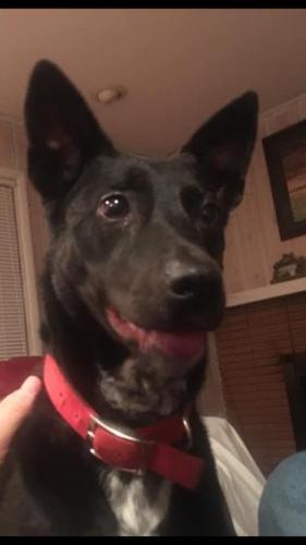 10:07:24 GMT-0600 (CST).image