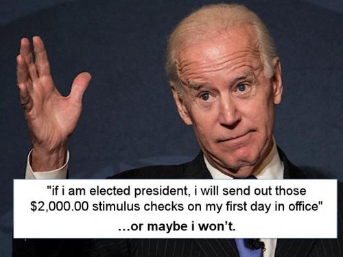 biden313